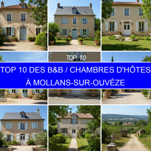 Top 1 des B&B / Chambres d'hôtes à Mollans-sur-Ouvèze